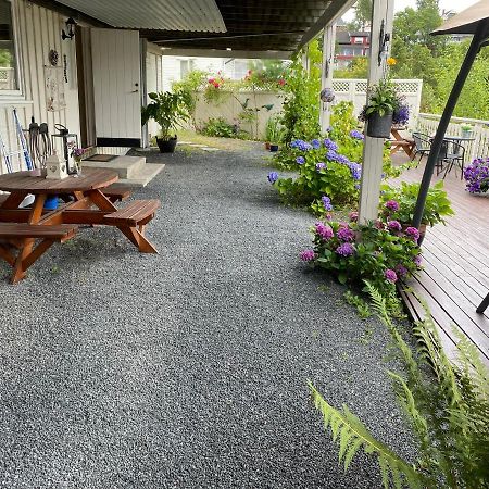 Torill'S Apartment 克拉格勒 外观 照片